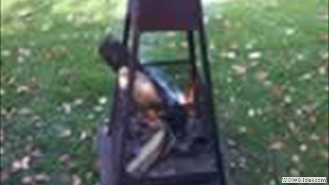 Foto8
