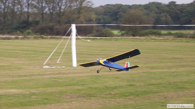 dcp_1174